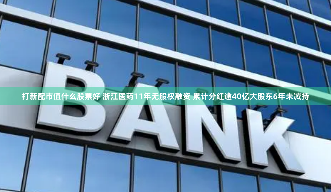 打新配市值什么股票好 浙江医药11年无股权融资 累计分红逾40亿大股东6年未减持